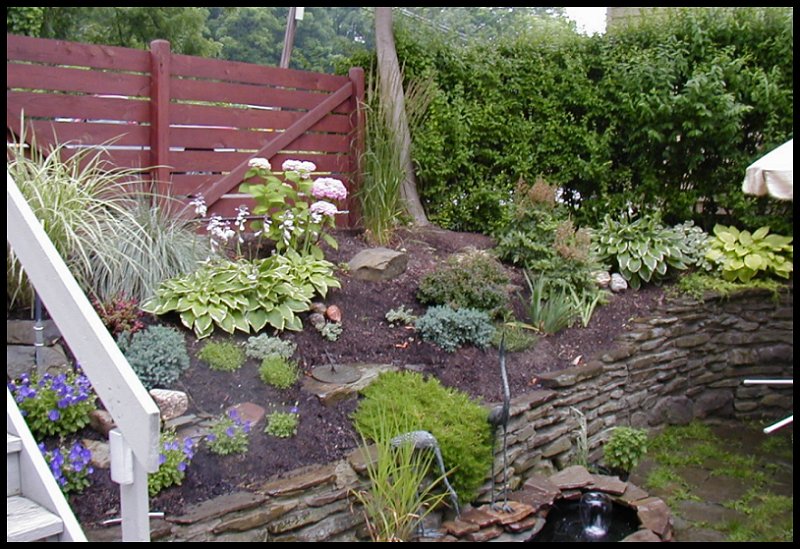 Landscaping Job